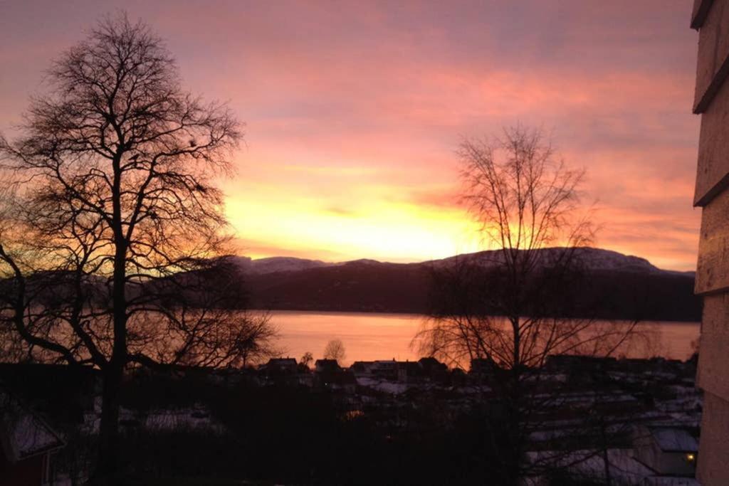 Balestrand Fjordapartments Holmen 19A Dış mekan fotoğraf