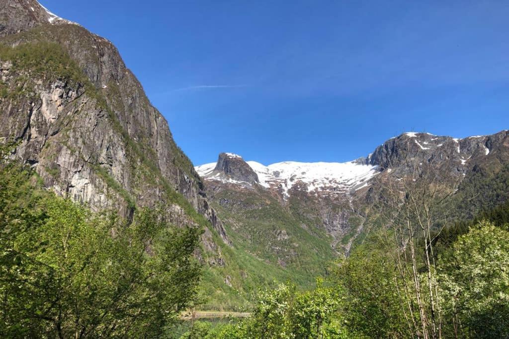 Balestrand Fjordapartments Holmen 19A Dış mekan fotoğraf